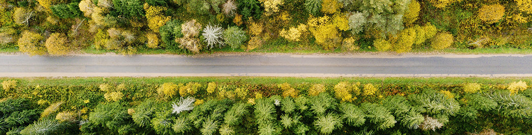 As Empresas Estatais do Século XXI e a Proteção ao Meio Ambiente